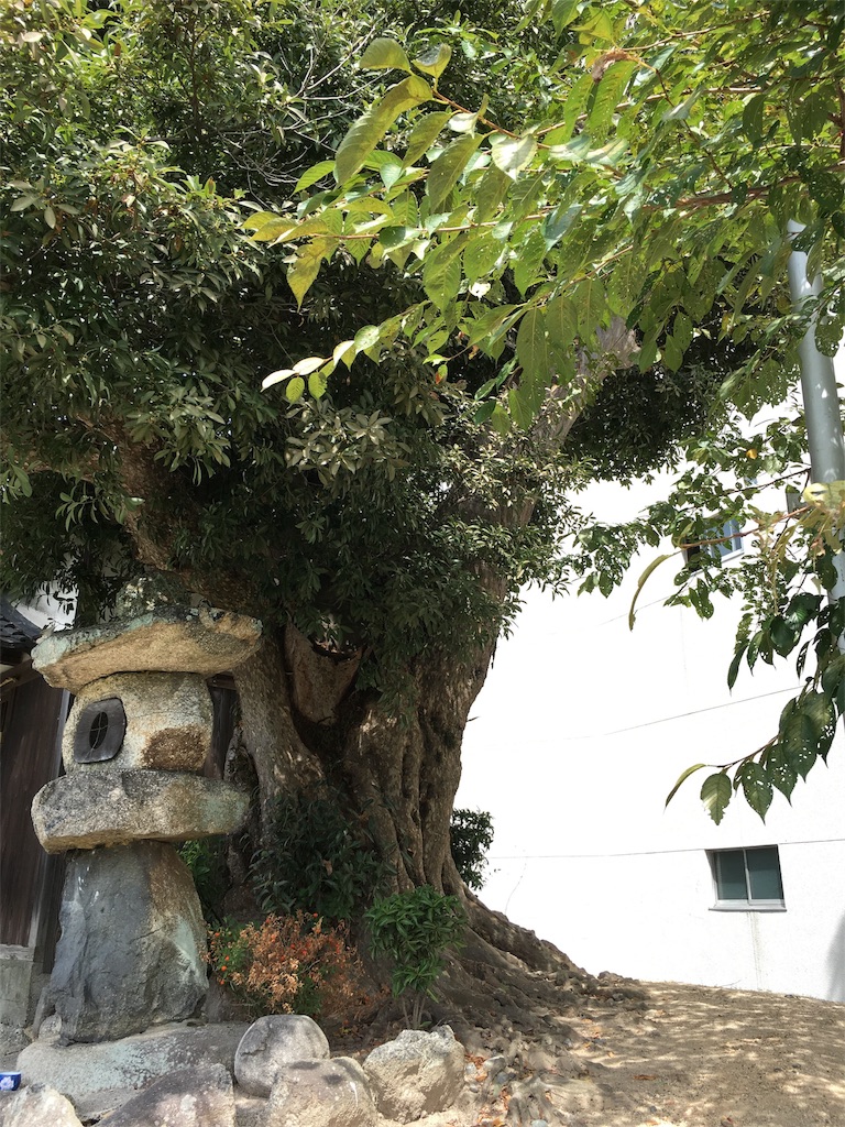 f:id:gakublog:20180819103518j:image f:id:gakublog:20180819103518j:image