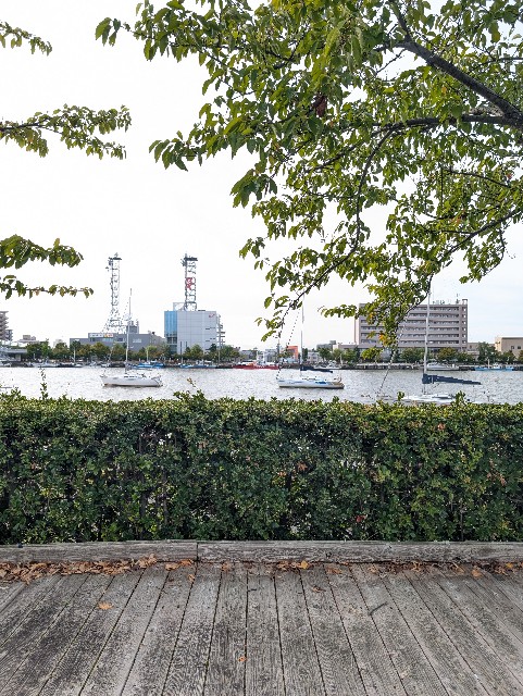 f:id:gakubuchi22:20241002190702j:image