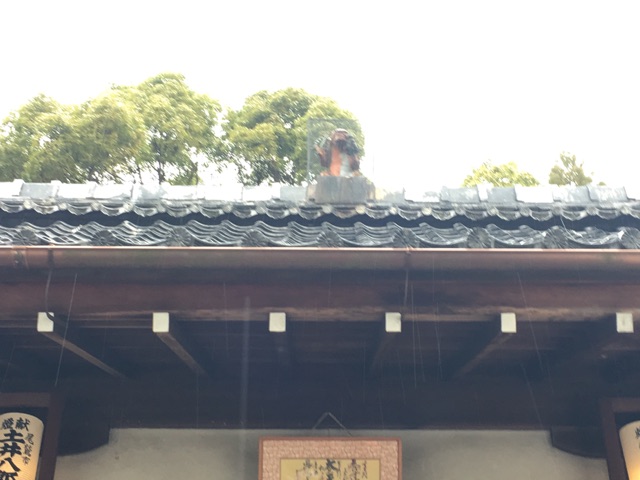 イメージ 6