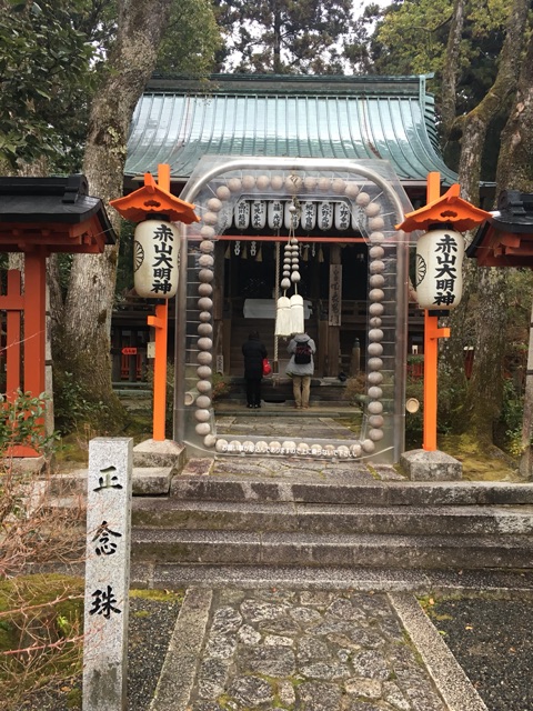 イメージ 7