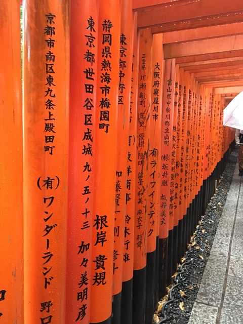 イメージ 5