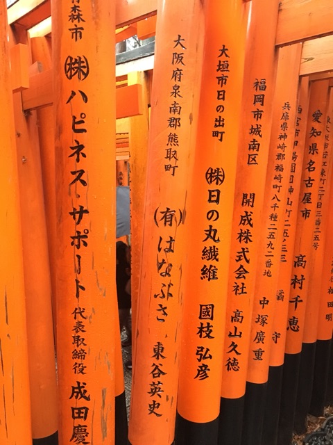 イメージ 6