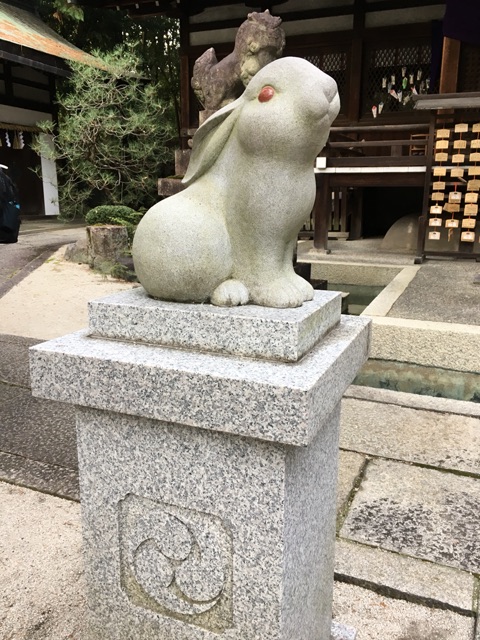 イメージ 4