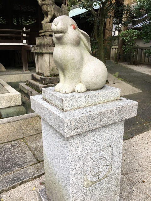 イメージ 5