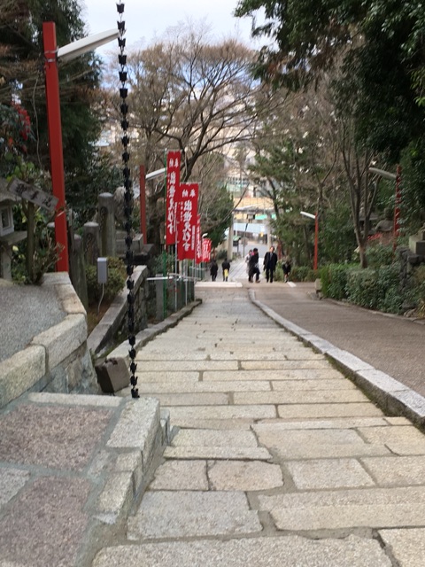 イメージ 6