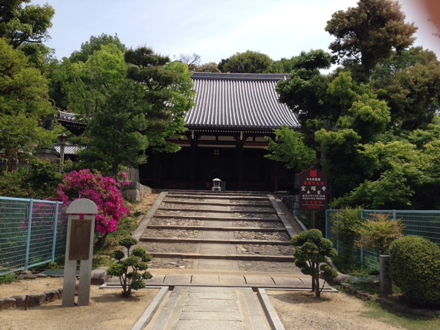 イメージ 6