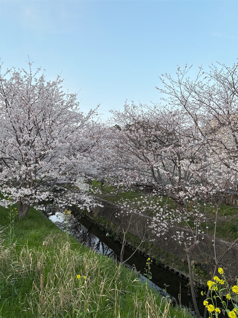 f:id:gakumanaonline:20250403221228j:image