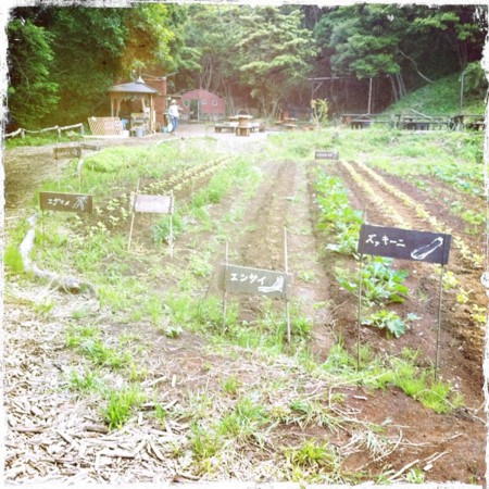 今夜は葉山でうわさの農園ごはんどころはショクヤボにてヽ(´ー｀)ノ