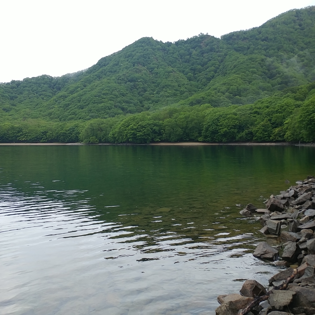 f:id:gakusama:20190625081715j:plain f:id:gakusama:20190625081715j:plain