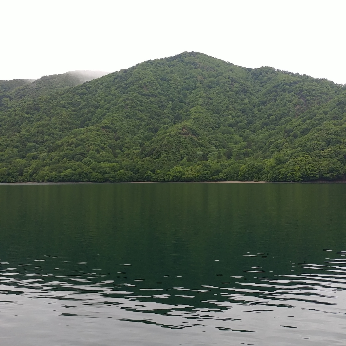 f:id:gakusama:20190625081735j:plain f:id:gakusama:20190625081735j:plain