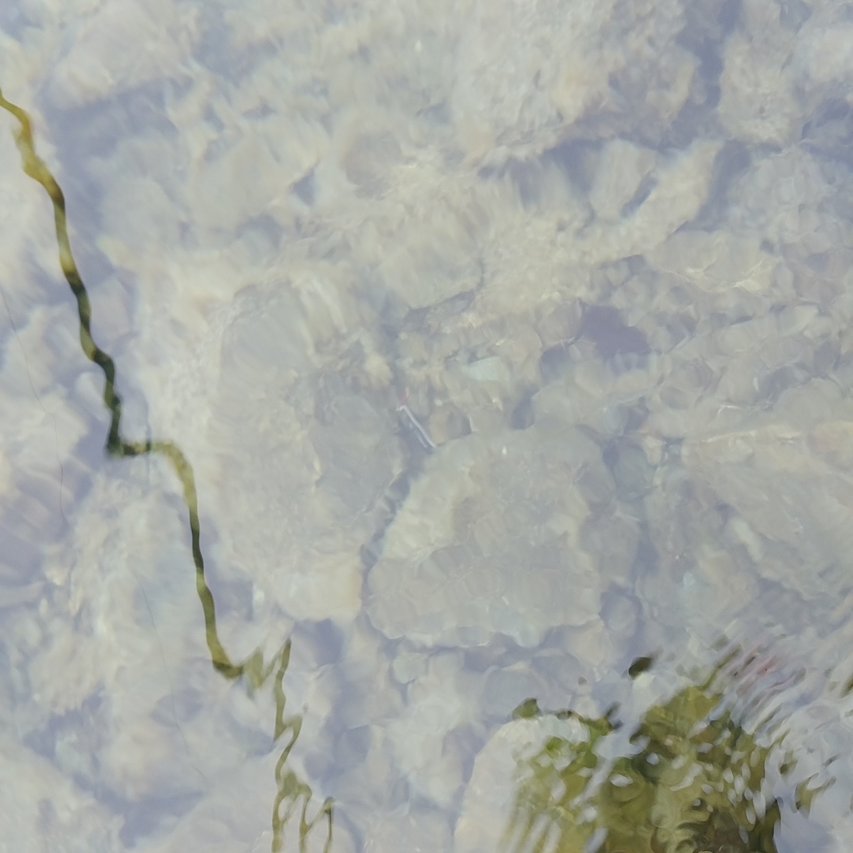 f:id:gakusama:20190629191629j:plain f:id:gakusama:20190629191629j:plain