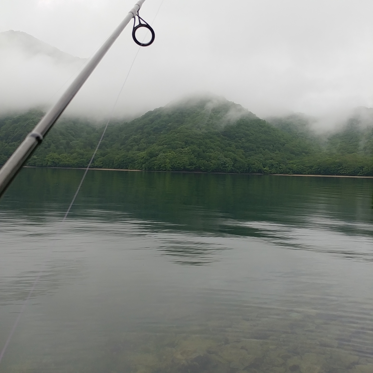 f:id:gakusama:20190629193410j:plain f:id:gakusama:20190629193410j:plain