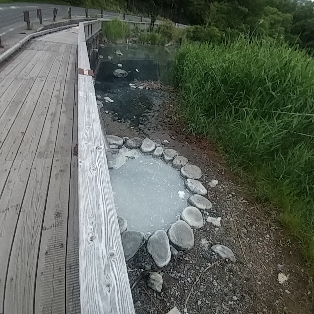 f:id:gakusama:20190707120434j:plain f:id:gakusama:20190707120434j:plain