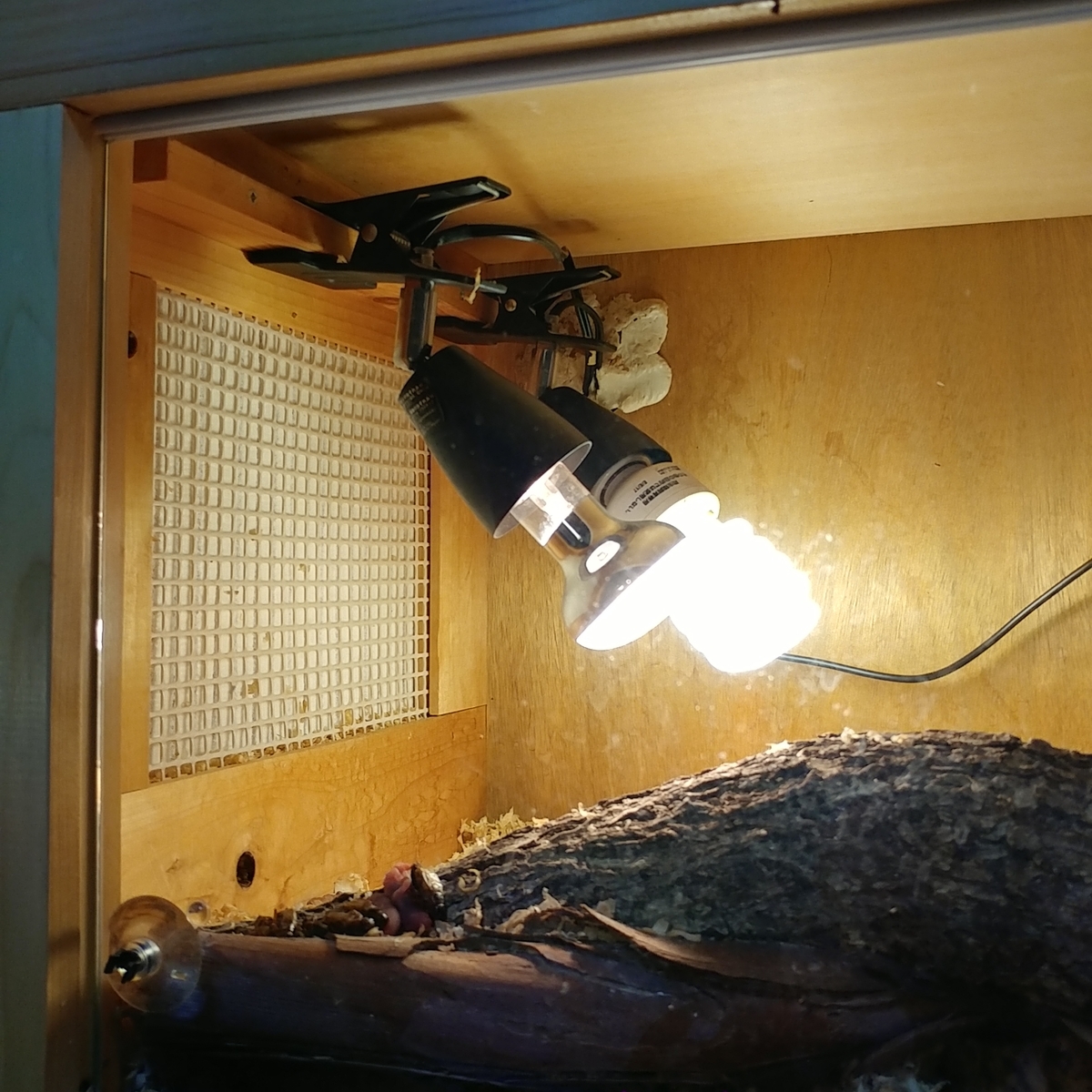 f:id:gakusama:20190708201308j:plain f:id:gakusama:20190708201308j:plain