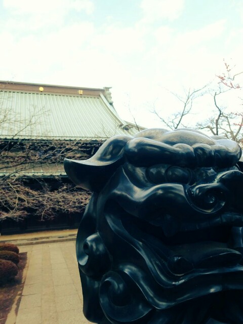 f:id:gakuseikun:20170303233728j:image f:id:gakuseikun:20170303233728j:image