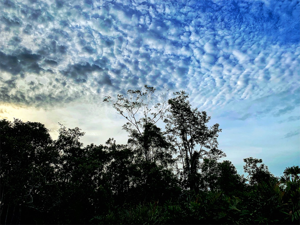 f:id:gakuseitrip:20190822013317j:image
