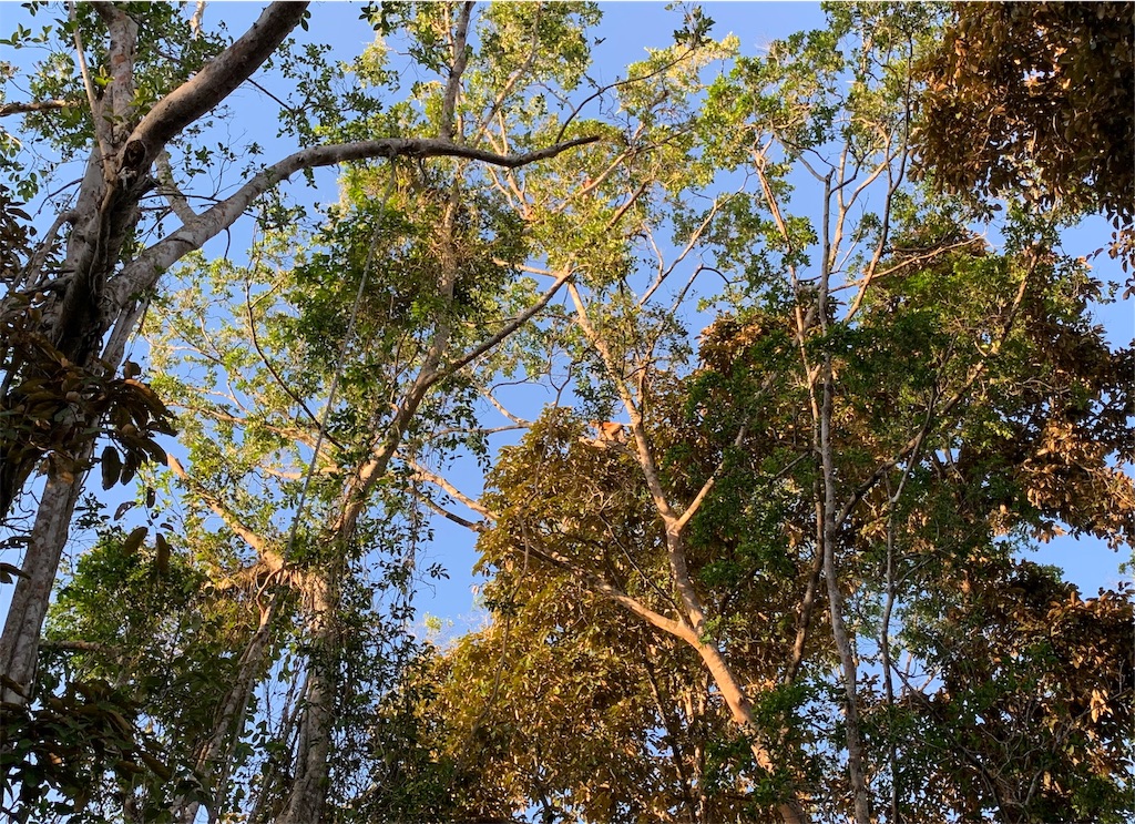f:id:gakuseitrip:20190822013345j:image