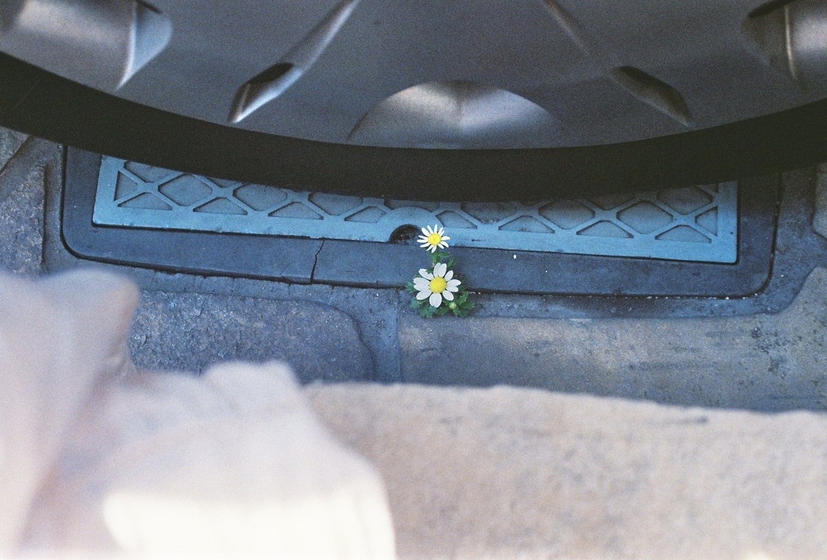 f:id:gakuseiupdate:20210906192545j:plain