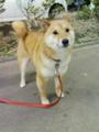 20080224194627