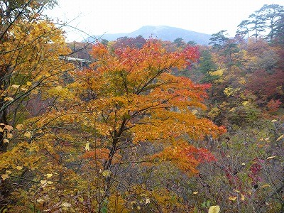 f:id:gakutoXtaketo:20101111005014j:image f:id:gakutoXtaketo:20101111005014j:image
