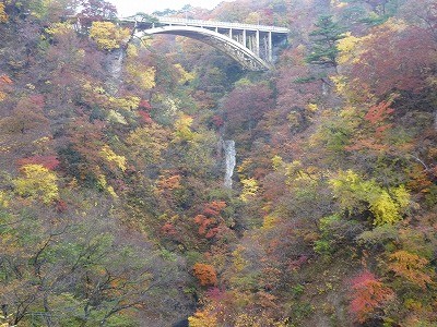 f:id:gakutoXtaketo:20101111005015j:image f:id:gakutoXtaketo:20101111005015j:image