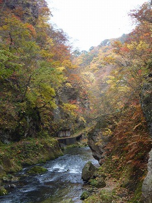 f:id:gakutoXtaketo:20101111005021j:image f:id:gakutoXtaketo:20101111005021j:image