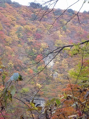 f:id:gakutoXtaketo:20101111005023j:image f:id:gakutoXtaketo:20101111005023j:image