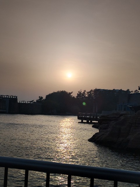 f:id:galbomatcha:20250420095121j:image