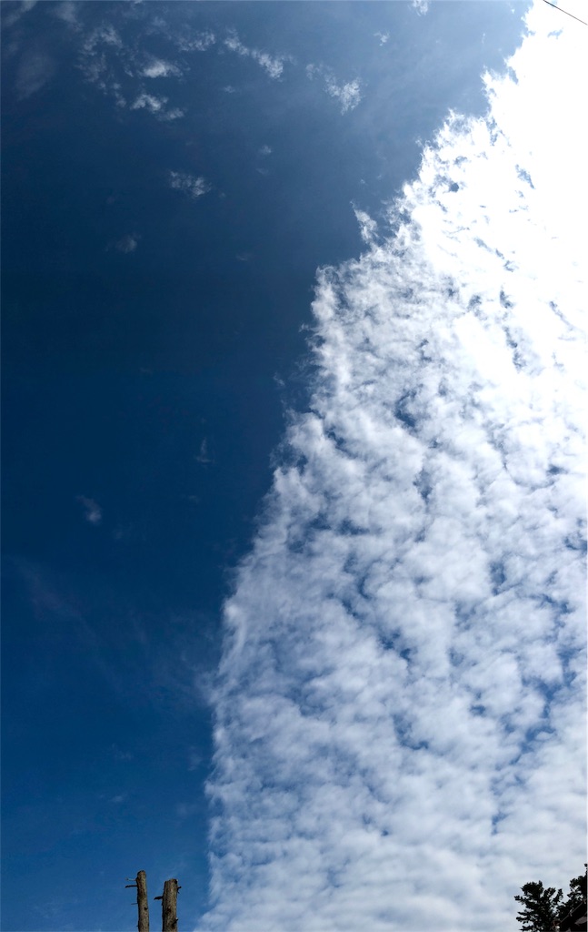f:id:galdra:20191003184754j:image