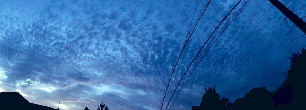 f:id:galdra:20191008232515j:image f:id:galdra:20191008232515j:image