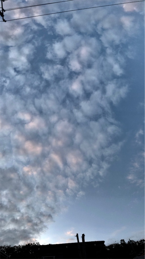 f:id:galdra:20191009224942j:image f:id:galdra:20191009224942j:image