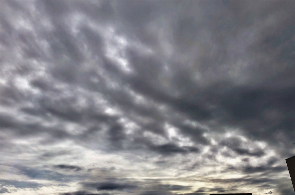 f:id:galdra:20191020234047j:image