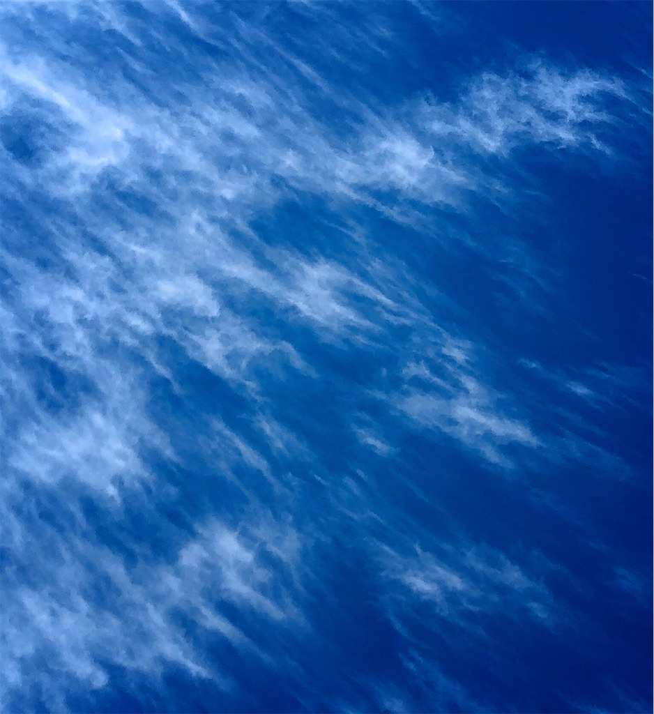 f:id:galdra:20200106185400j:image