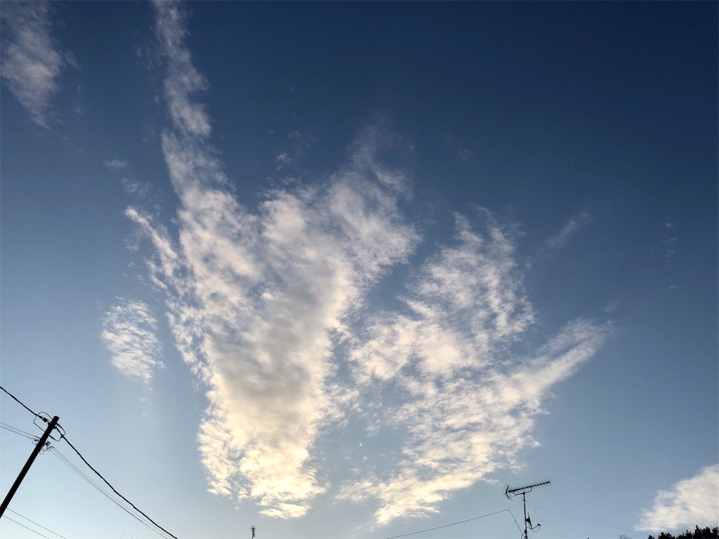 f:id:galdra:20201102233627j:image
