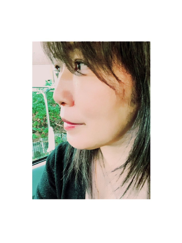 f:id:galdra:20201123235347j:image