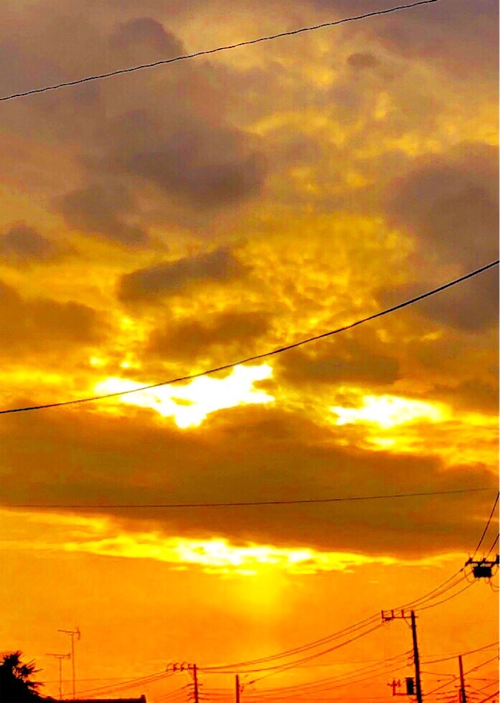 f:id:galdra:20210122223817j:image