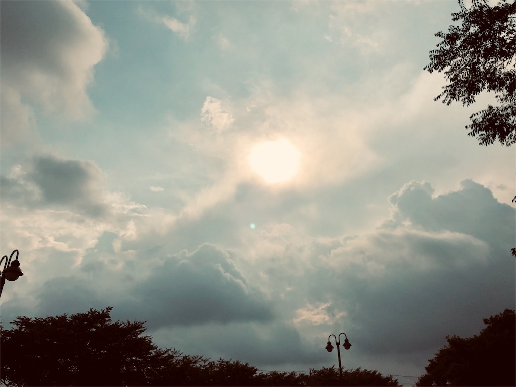 f:id:galdra:20210718190917j:image f:id:galdra:20210718190917j:image
