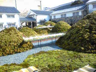 イメージ 4