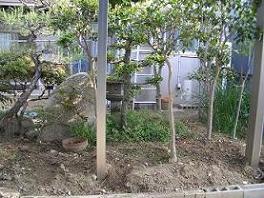 イメージ 6
