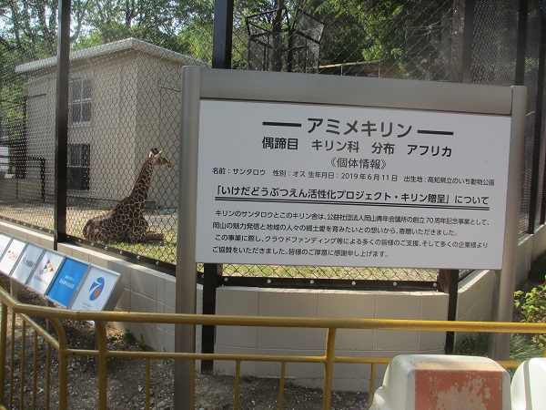 f:id:gallery_touka:20210501114510j:plain