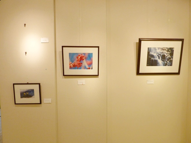 f:id:gallerycafewhats:20210917210336j:plain