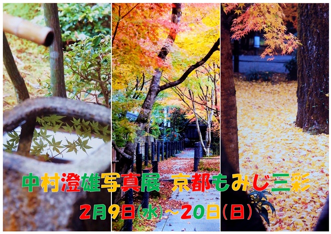 f:id:gallerycafewhats:20220210205932j:plain