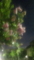 20120803194342