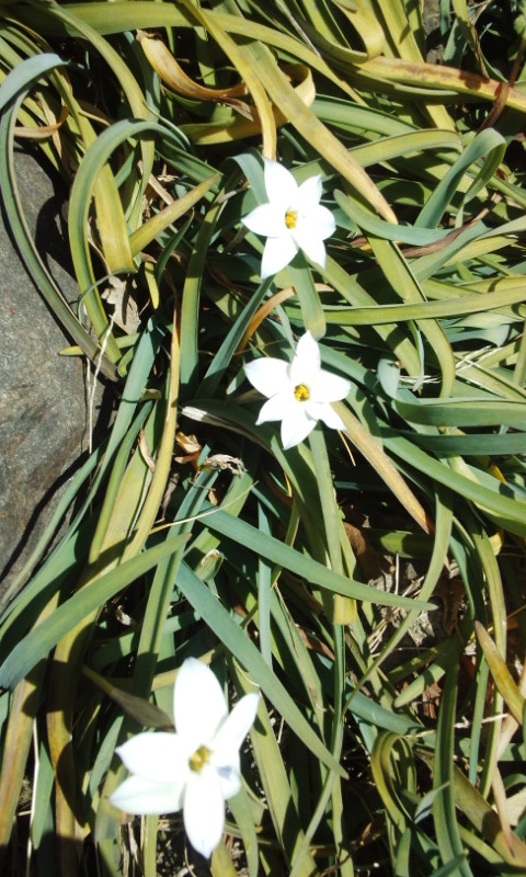 f:id:gallerysdiary:20130228113619j:image:w360:left