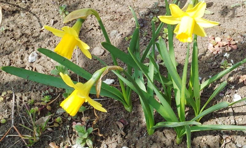 f:id:gallerysdiary:20130310101252j:image:w360:left
