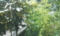 20130814121431