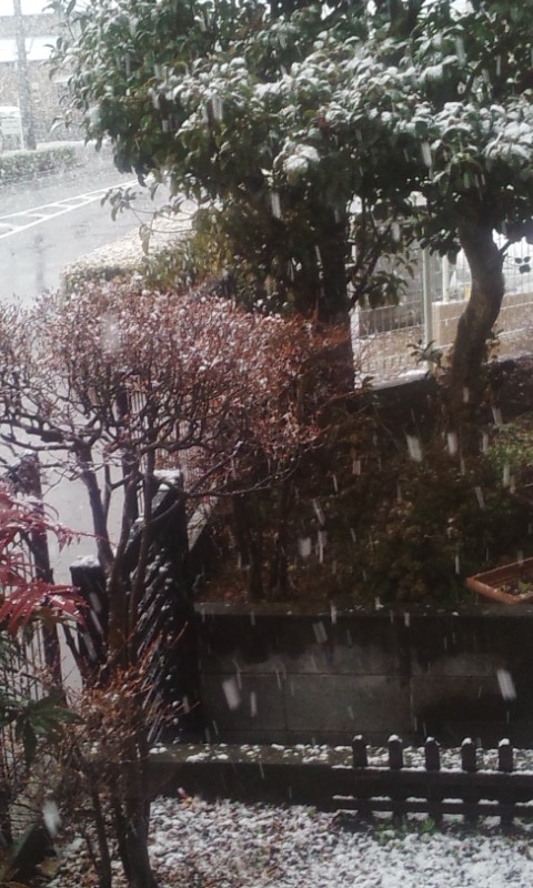 f:id:gallerysdiary:20140204154251j:image:w360:left