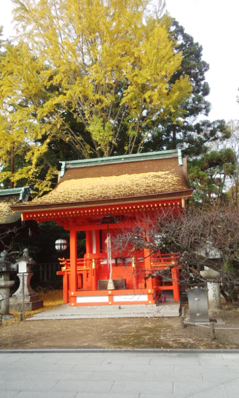 f:id:gallerysdiary:20151121141111j:image:w360:right