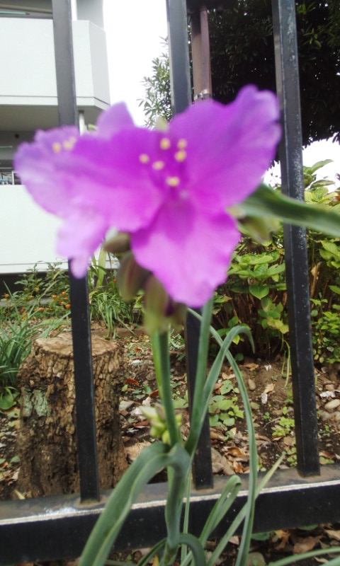 f:id:gallerysdiary:20161014130102j:image:w360:left