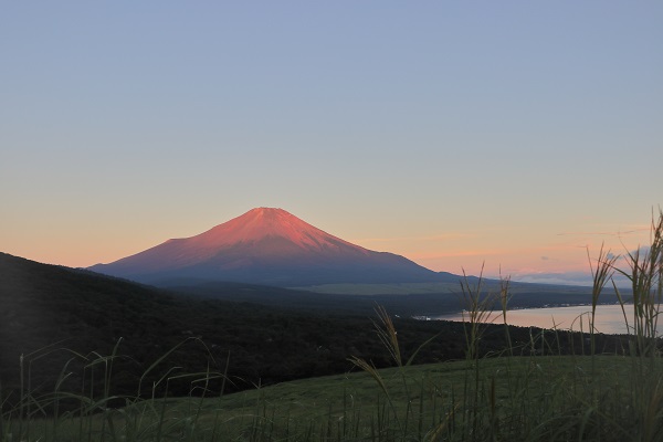 f:id:gallon96_d:20200930165427j:plain f:id:gallon96_d:20200930165427j:plain